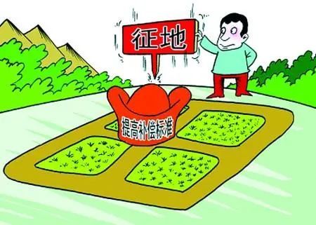 最新安置政策深度解读与解析